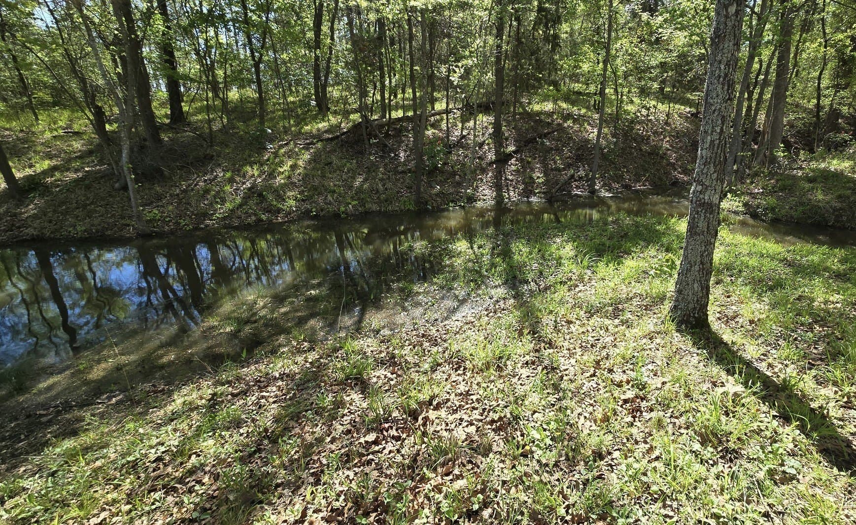 0.52 acres in Wood County gallery image 4