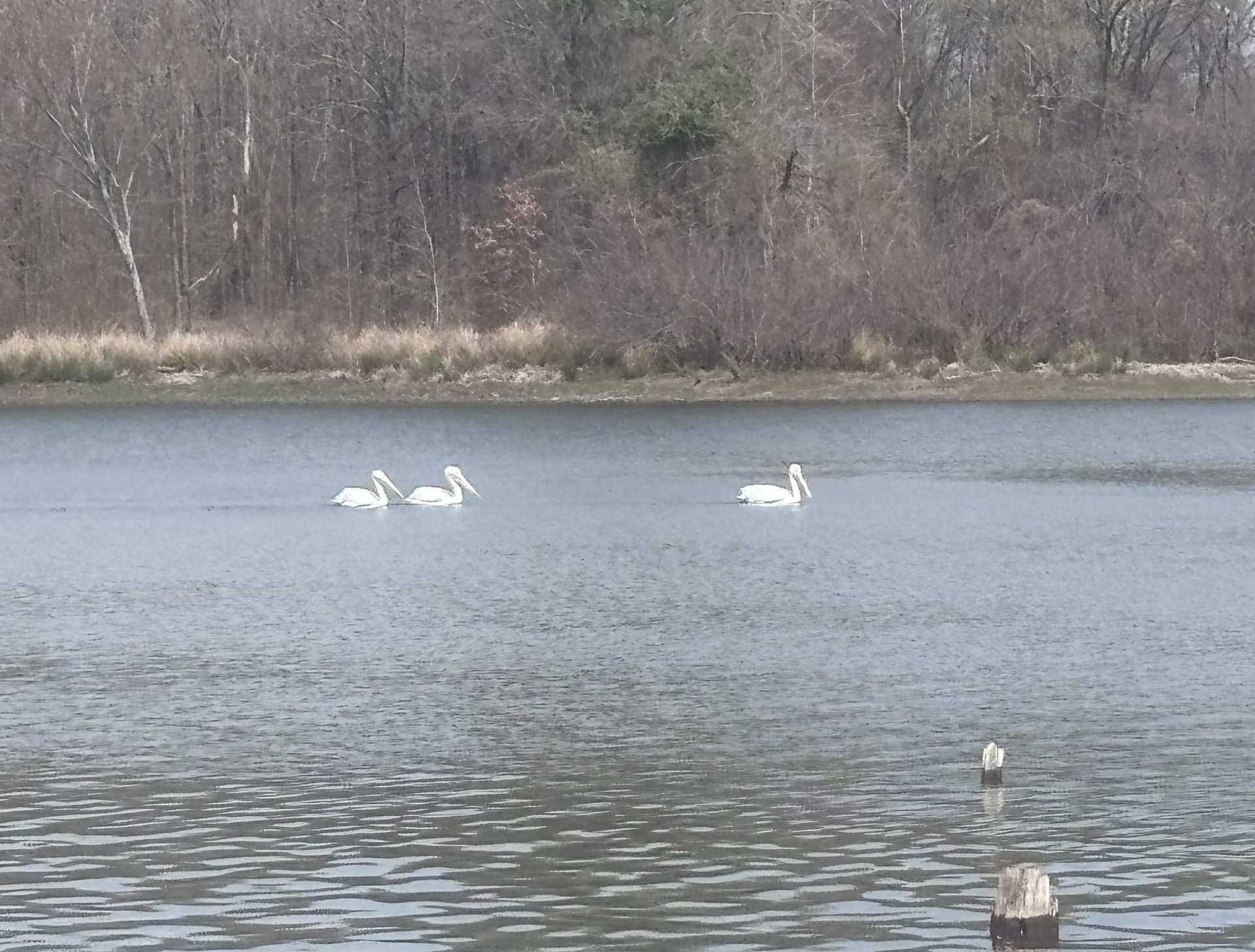 0.52 acres in Wood County - photo 19