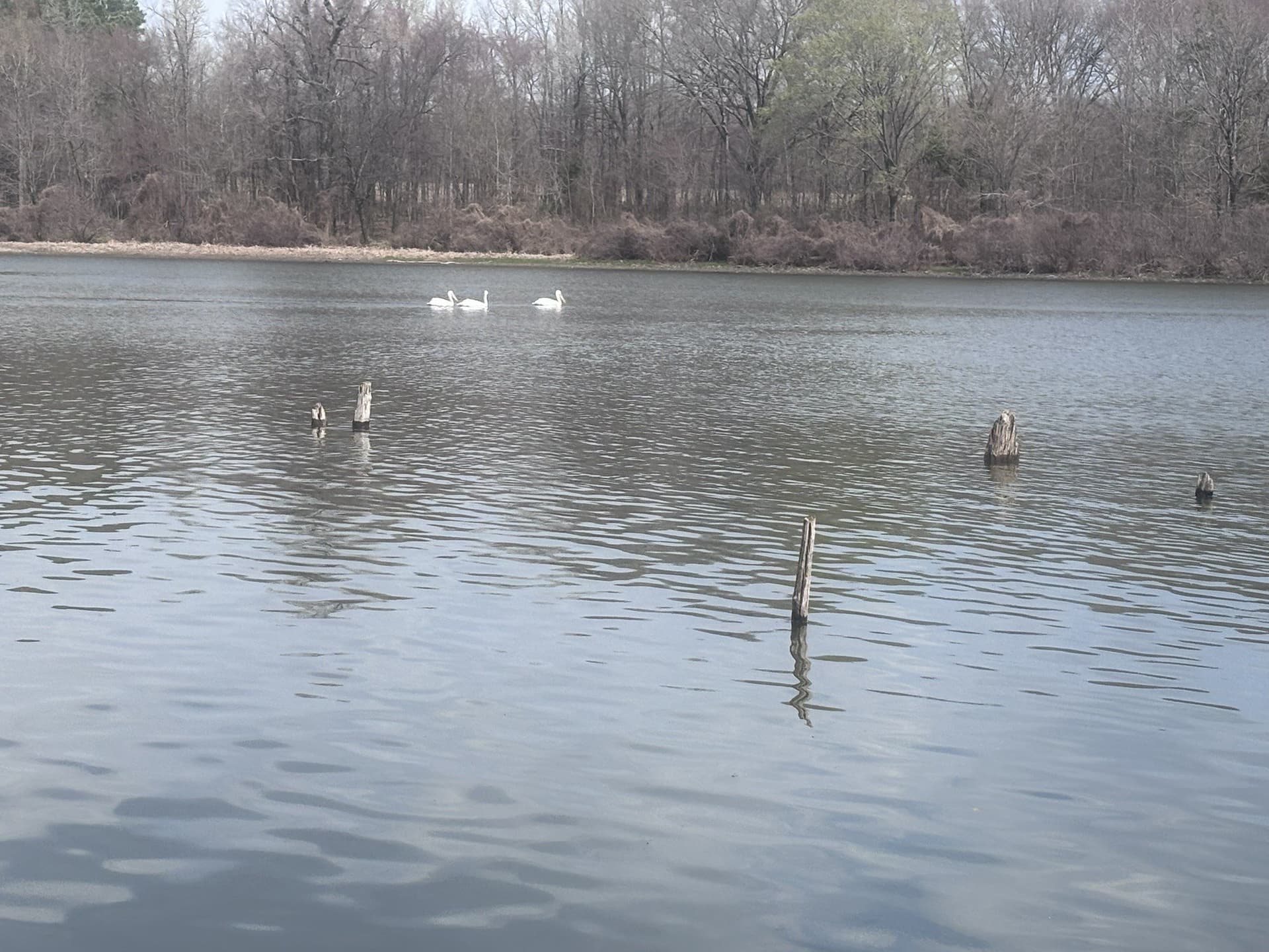 0.52 acres in Wood County - photo 24