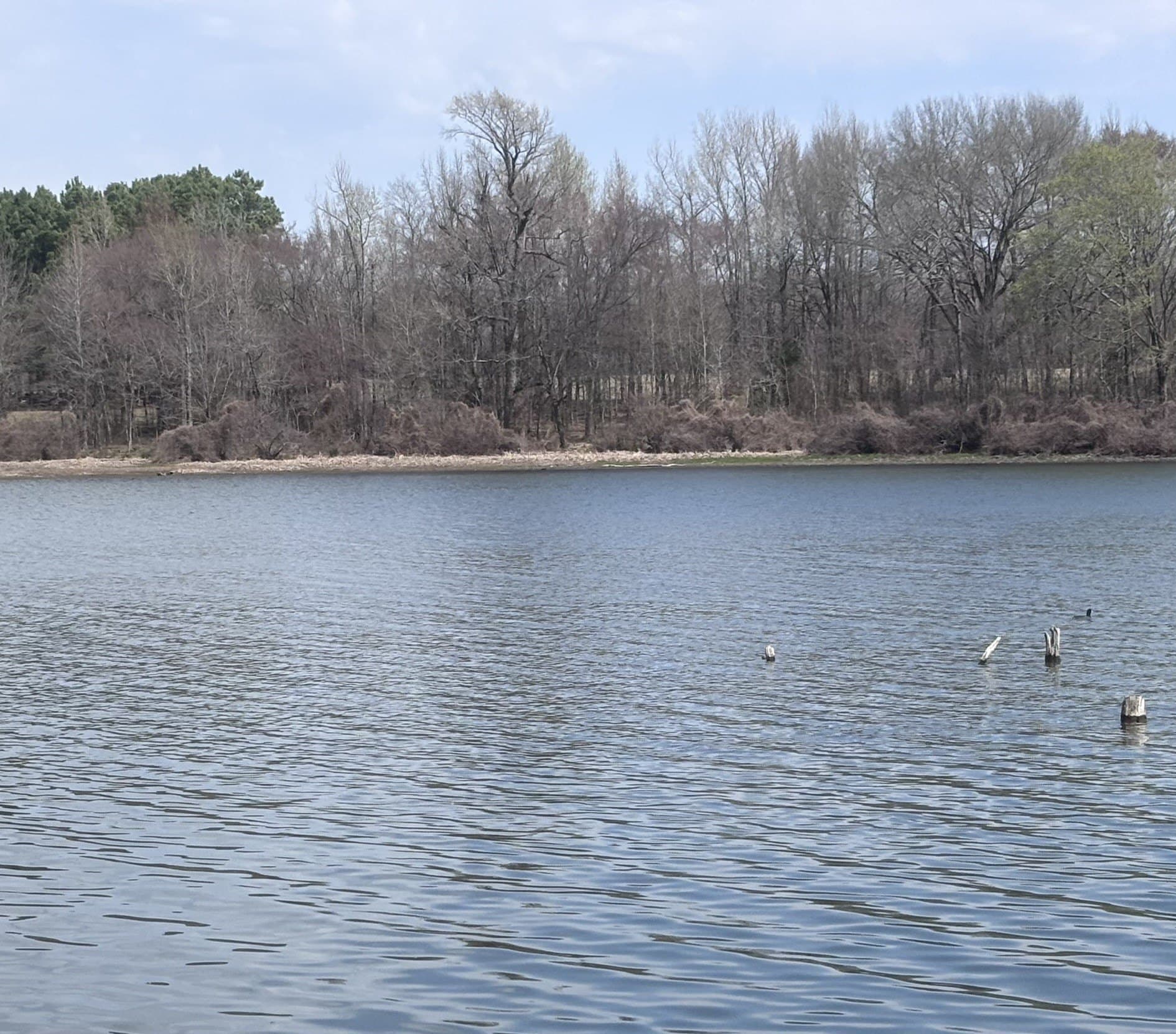 0.52 acres in Wood County - photo 12