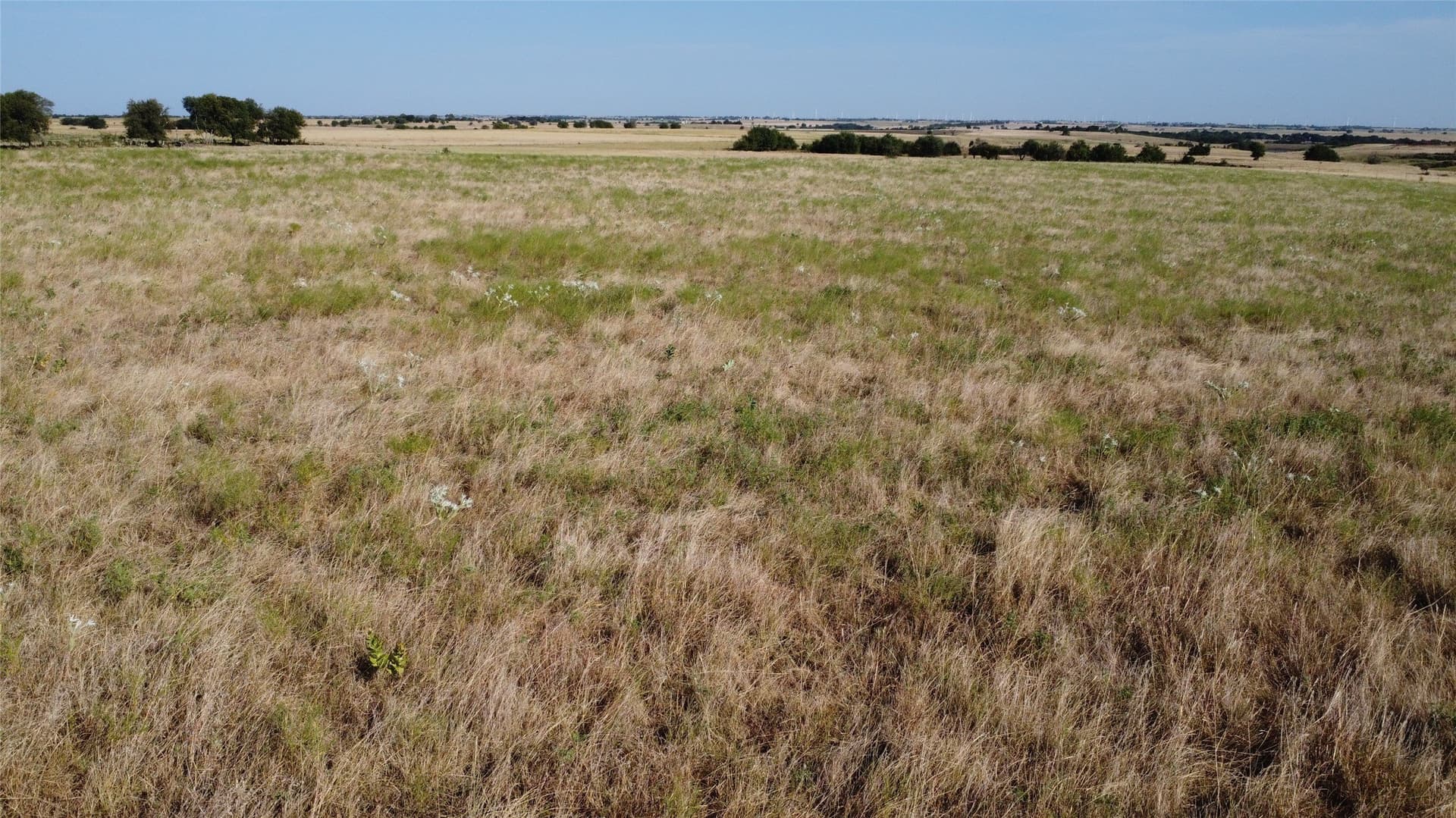 114.88 acres in Cooke County - photo 14