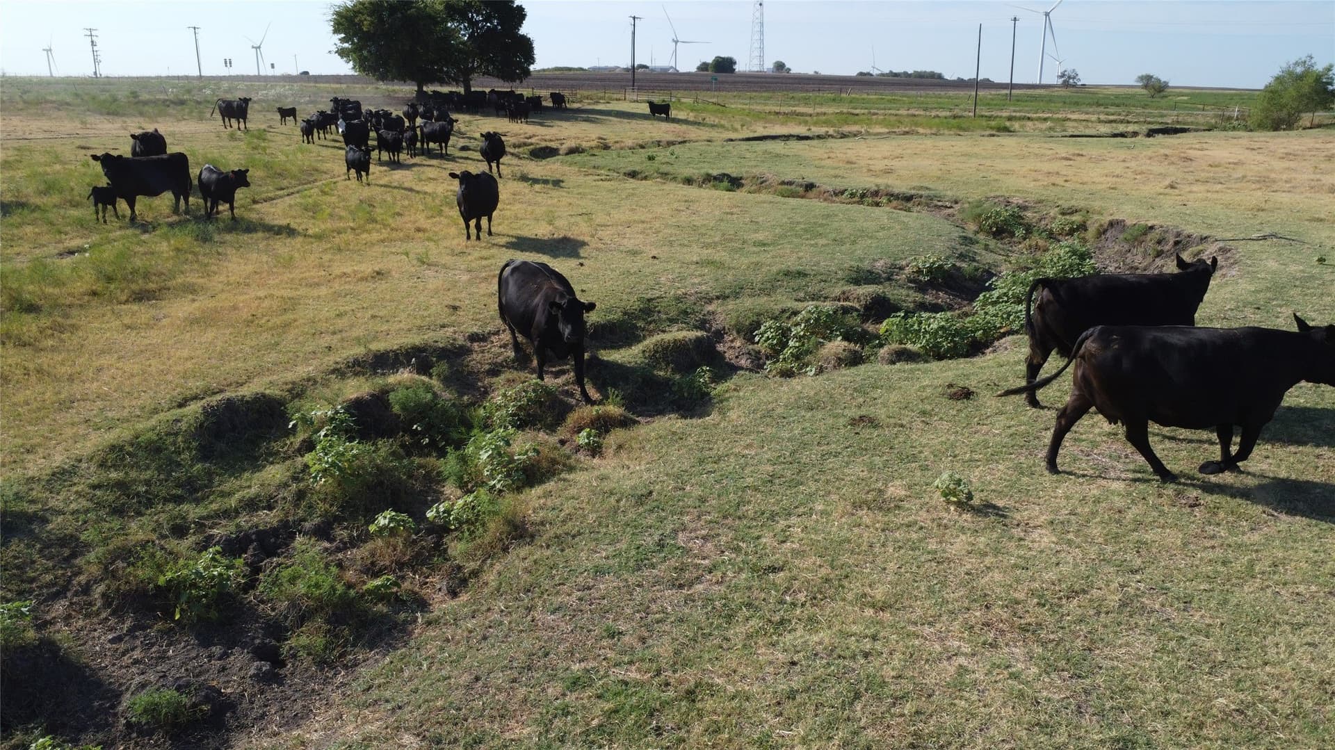 114.88 acres in Cooke County - photo 11
