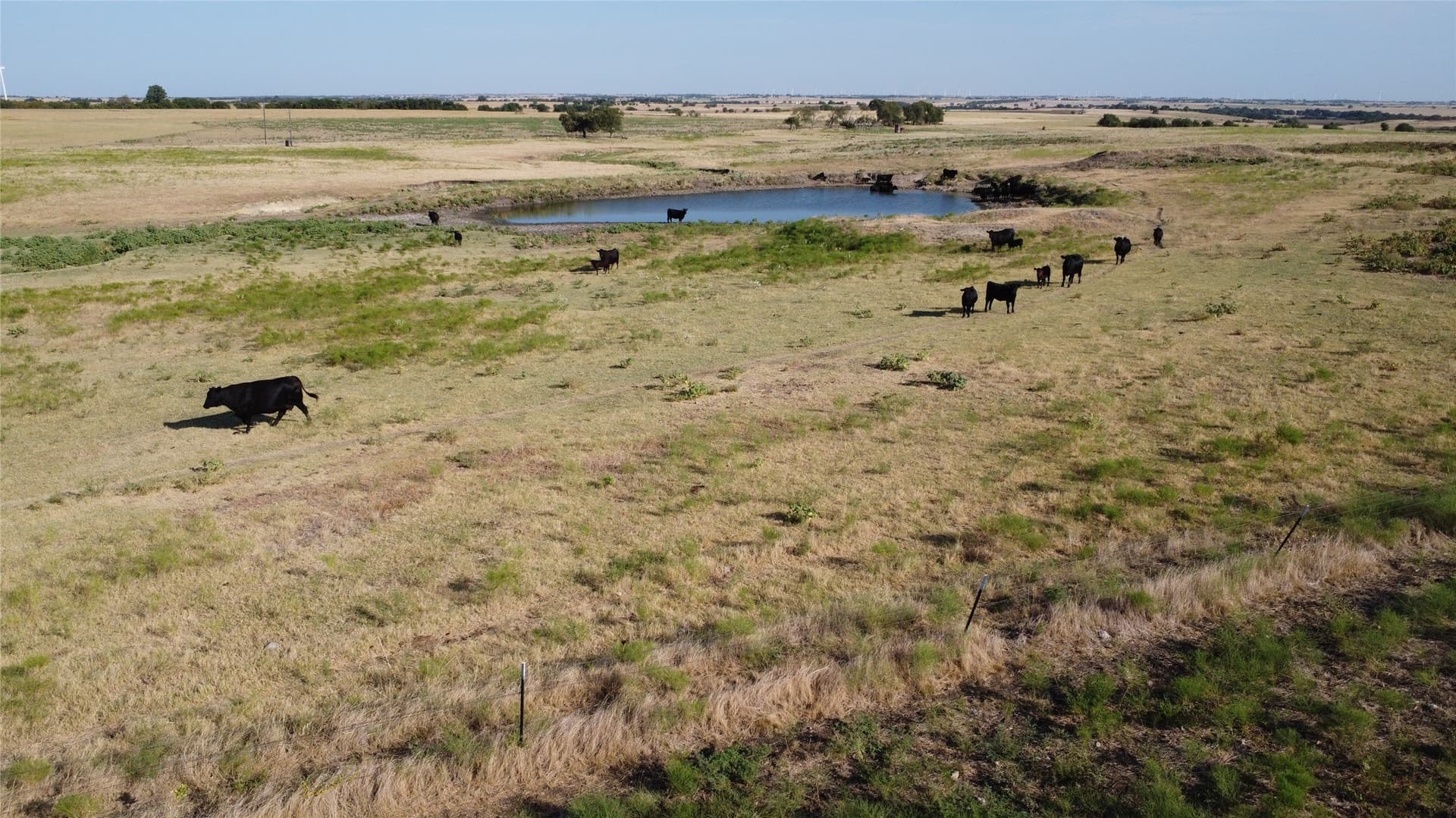 114.88 acres in Cooke County - photo 2