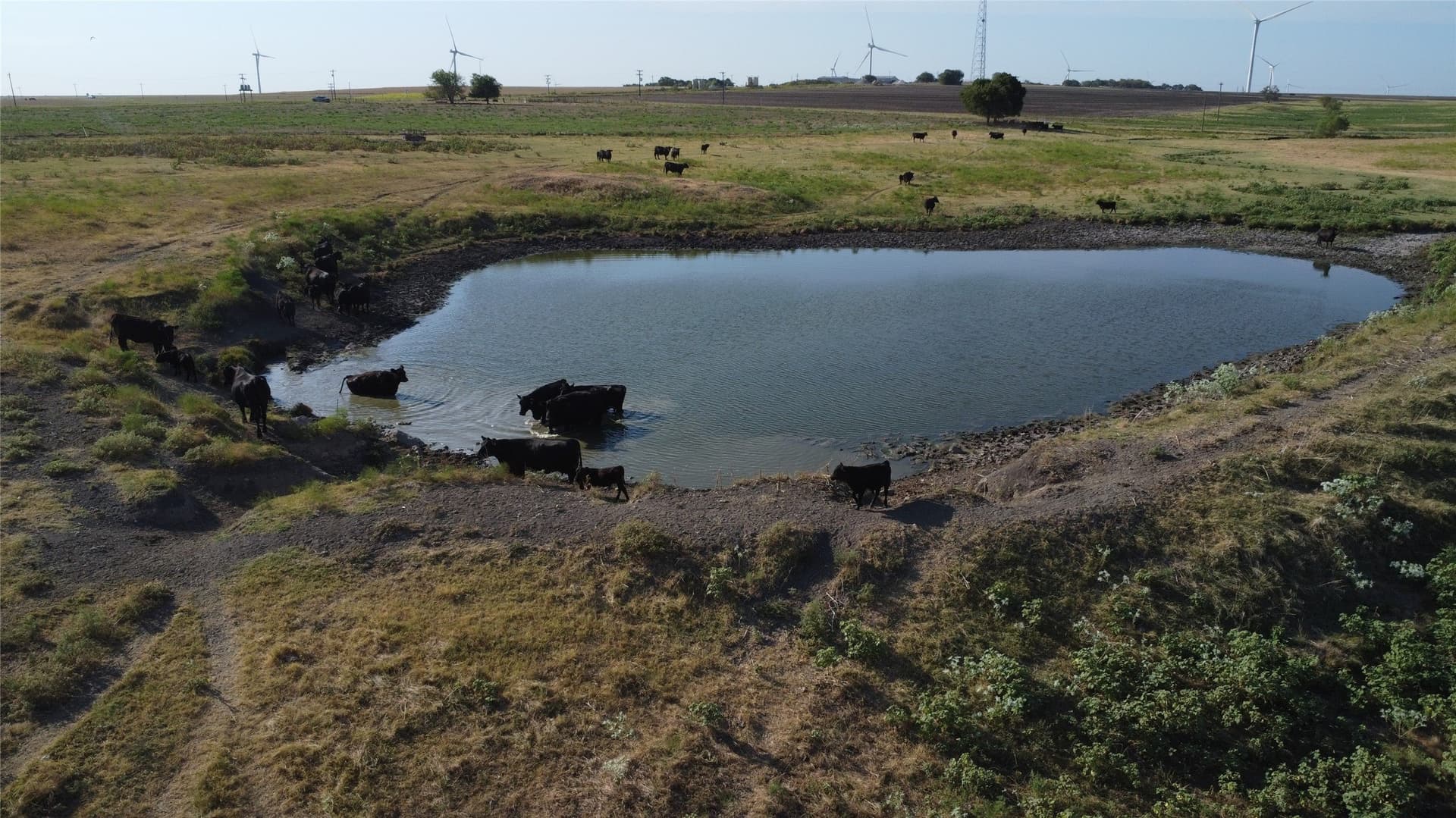 114.88 acres in Cooke County - photo 3
