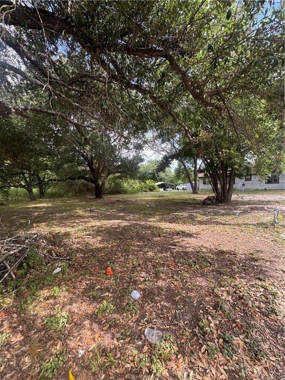 0.2 acres in Brazos County - photo 7