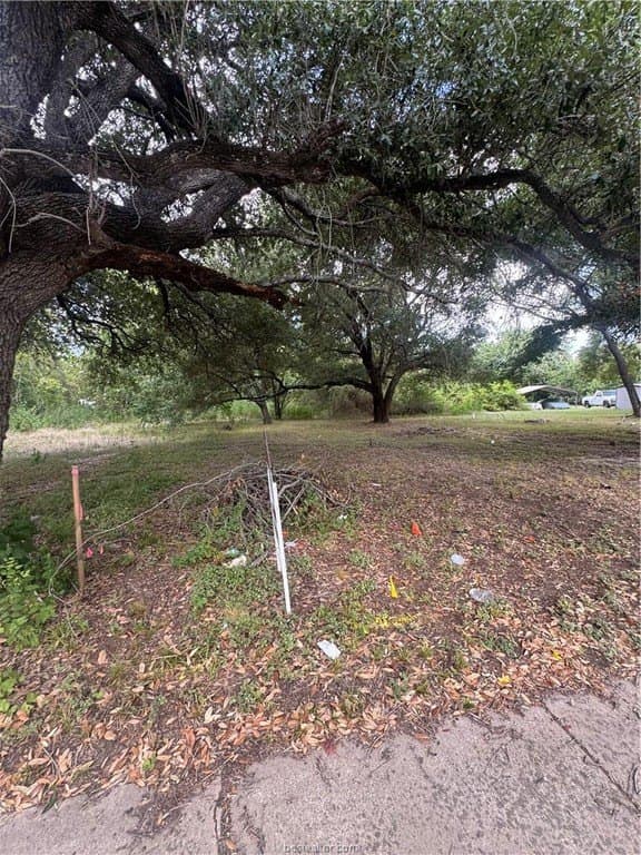 0.2 acres in Brazos County - photo 5