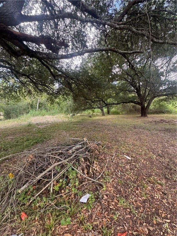 0.2 acres in Brazos County - photo 2