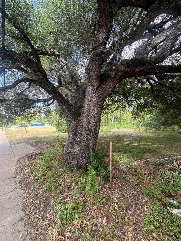 0.2 acres in Brazos County - photo 6