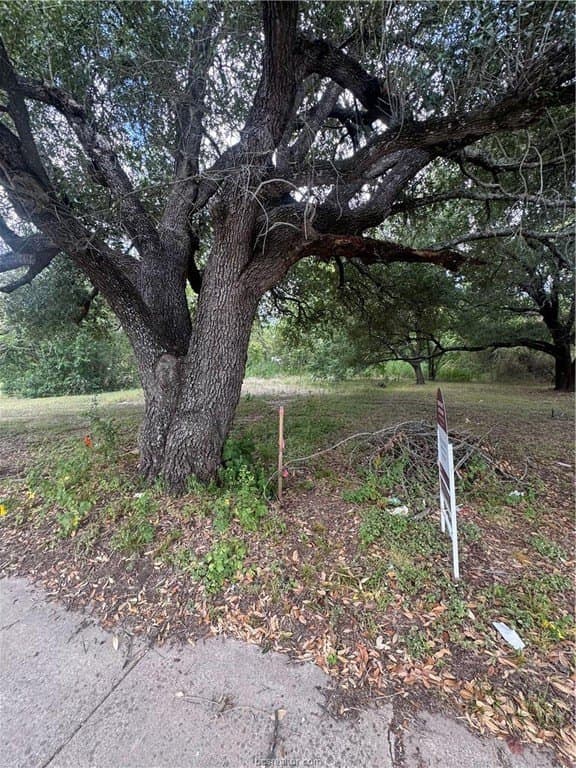 0.2 acres in Brazos County - photo 4