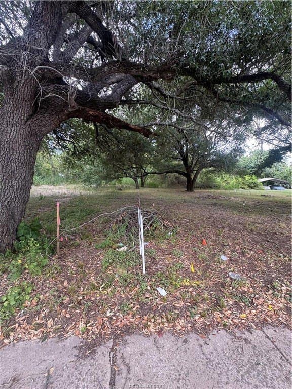 0.2 acres in Brazos County - photo 3