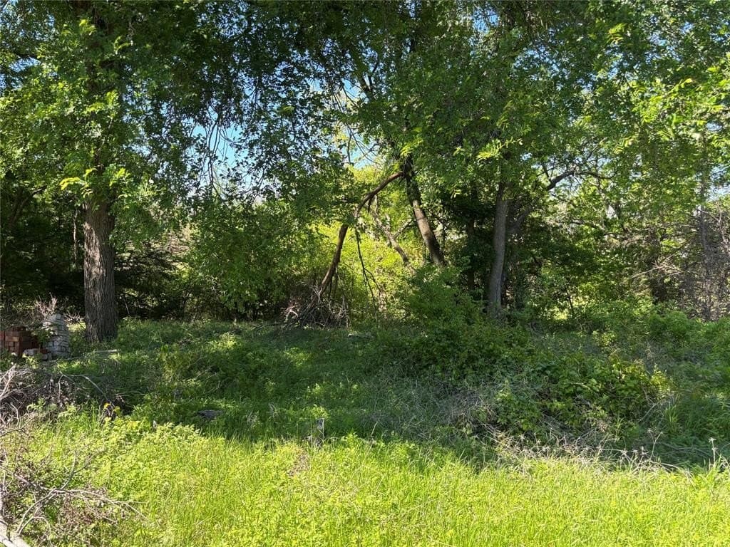 0.32 acres in Collin County gallery image 2