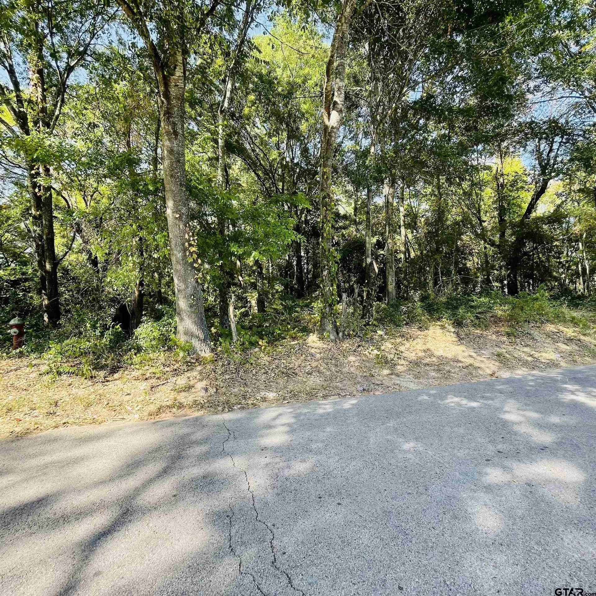 0.25 acres in Smith County - photo 2