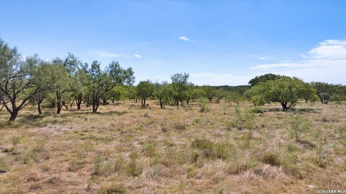 23.91 acres in Menard County - photo 11