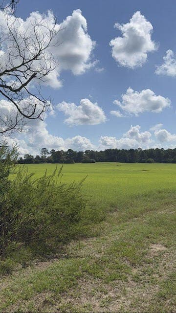 50 acres in ANDERSON County - photo 3