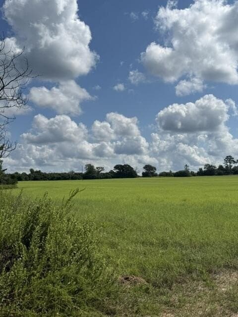 50 acres in ANDERSON County - photo 4