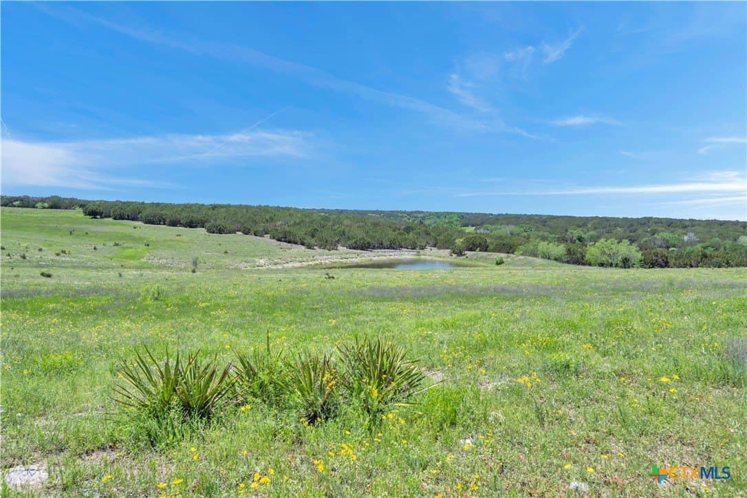 14.01 acres in Burnet County gallery image 2