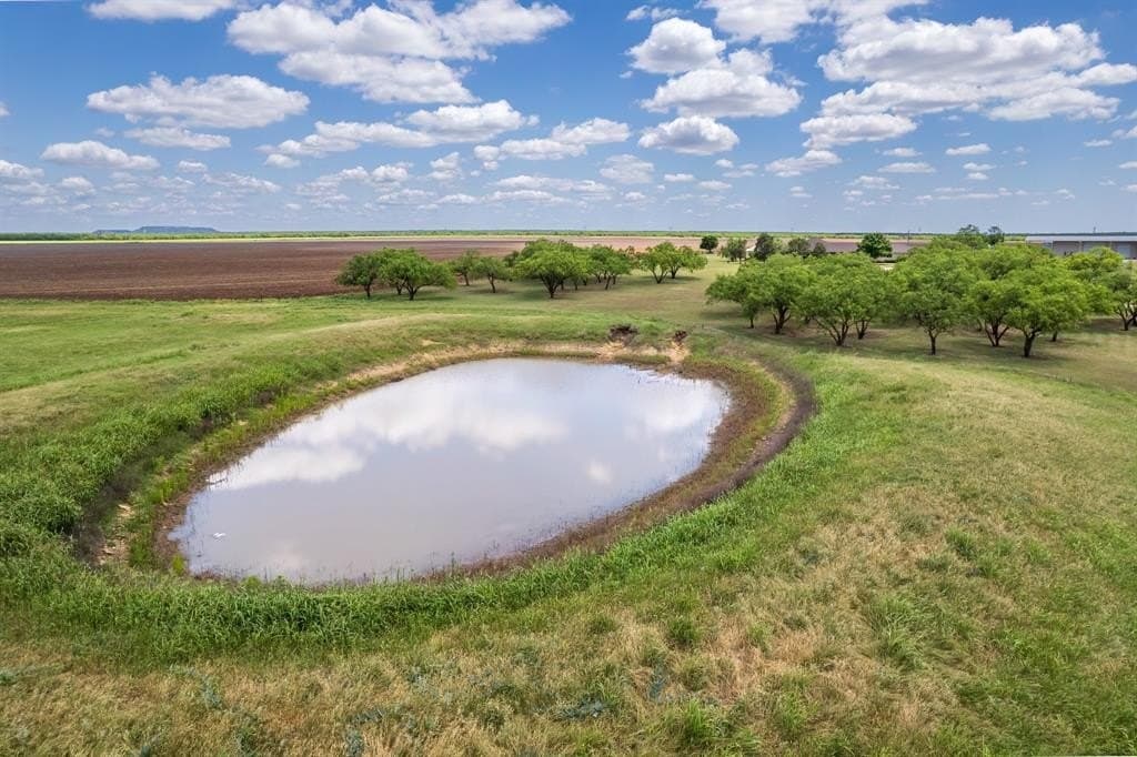 30 acres in Coleman County gallery image 4