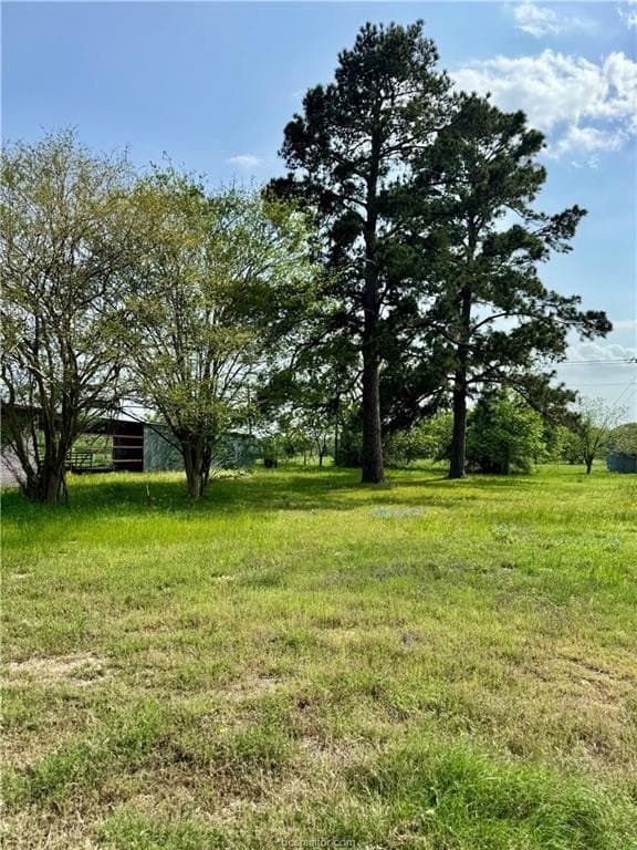 18.76 acres in Brazos County - photo 6