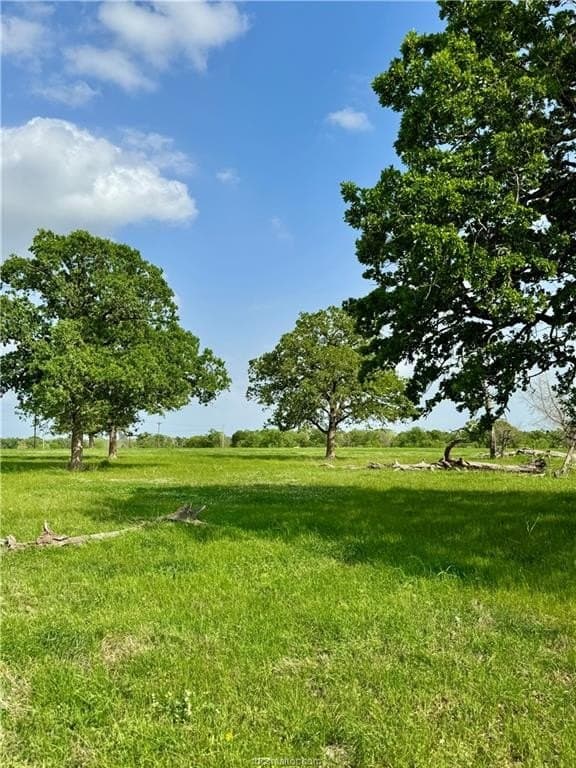 18.76 acres in Brazos County - photo 40