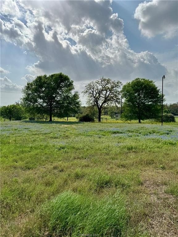 18.76 acres in Brazos County - photo 7