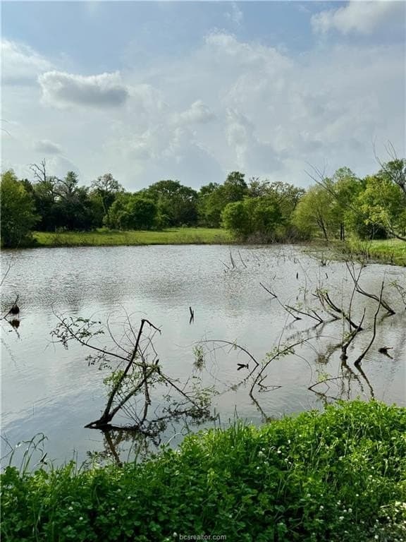 18.76 acres in Brazos County - photo 21