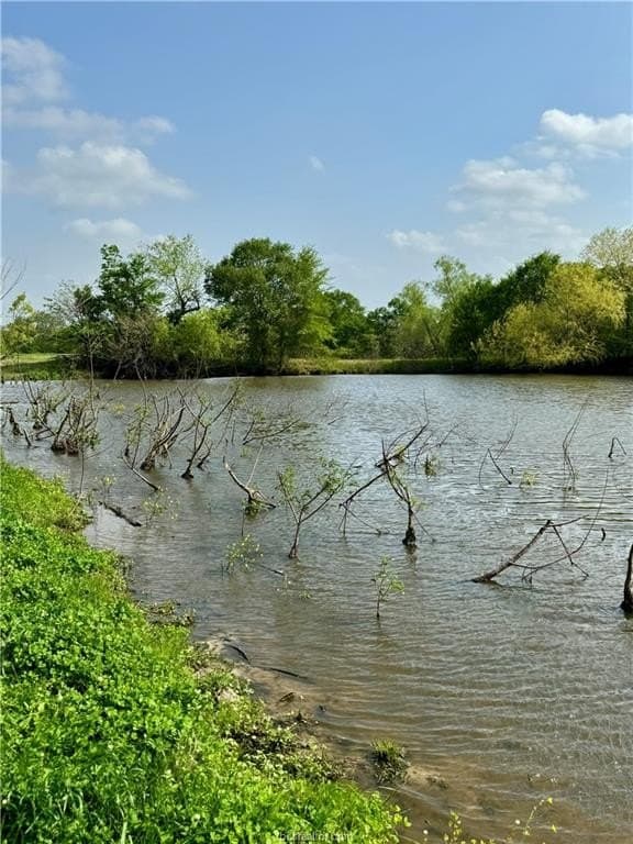 18.76 acres in Brazos County - photo 23