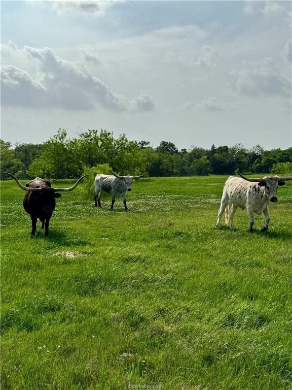 18.76 acres in Brazos County - photo 18