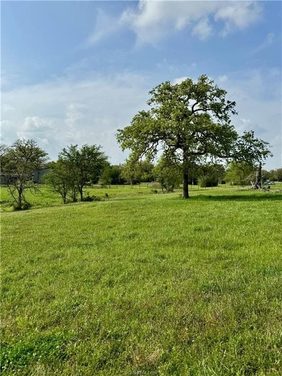 18.76 acres in Brazos County - photo 43