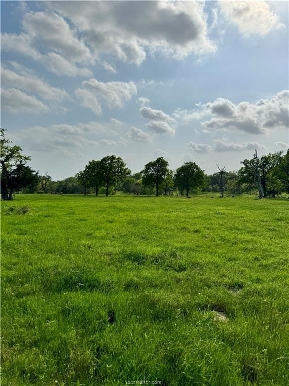 18.76 acres in Brazos County - photo 32