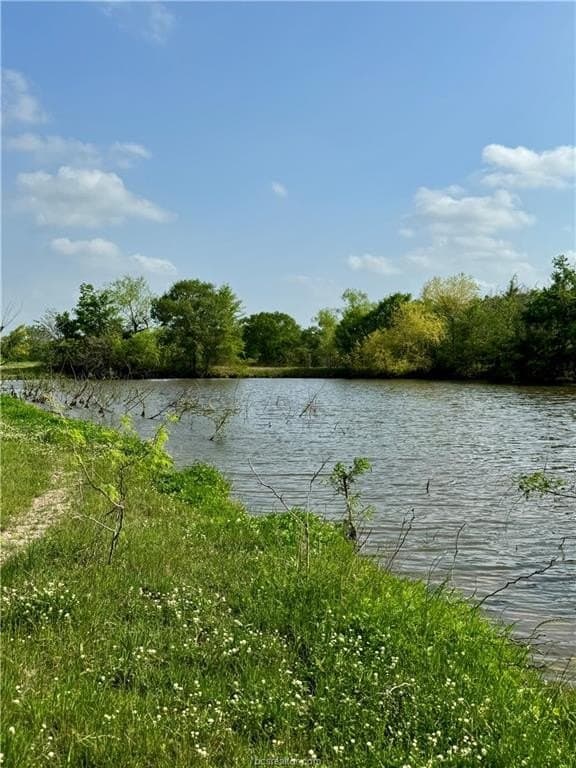 18.76 acres in Brazos County - photo 25