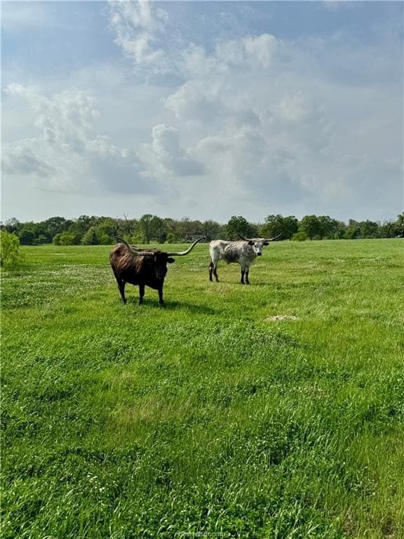 18.76 acres in Brazos County - photo 19