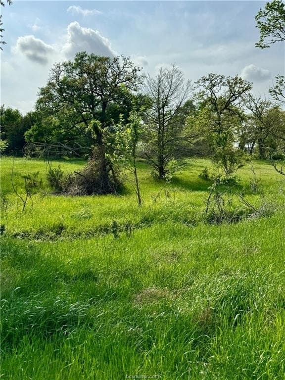 18.76 acres in Brazos County - photo 27
