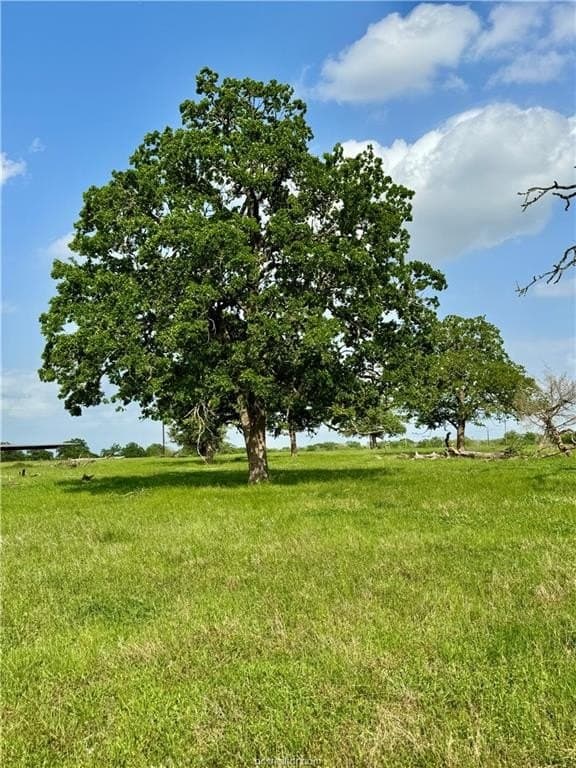 18.76 acres in Brazos County - photo 42