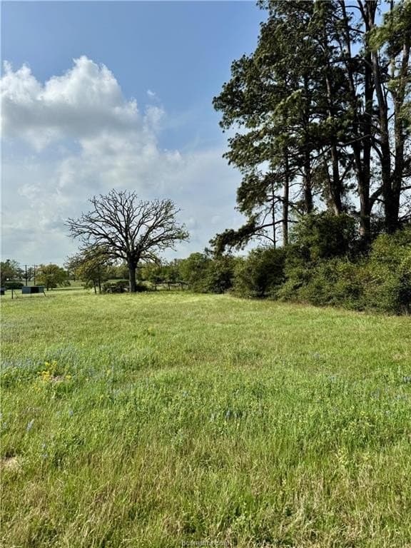 18.76 acres in Brazos County featured view