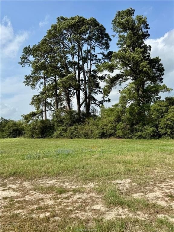 18.76 acres in Brazos County gallery image 4