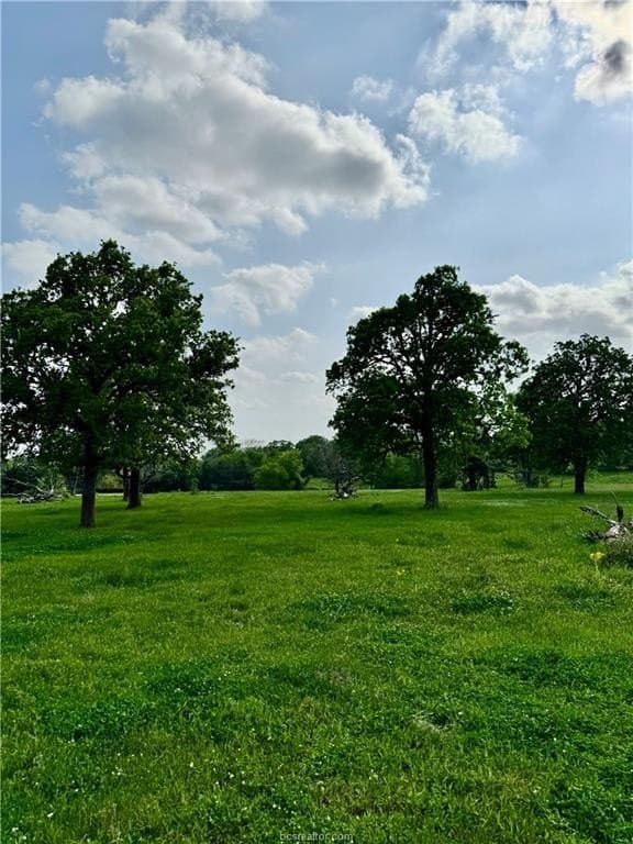 18.76 acres in Brazos County - photo 35