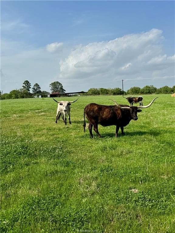 18.76 acres in Brazos County - photo 20