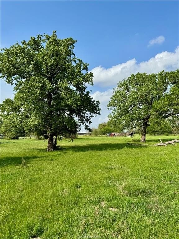 18.76 acres in Brazos County - photo 39