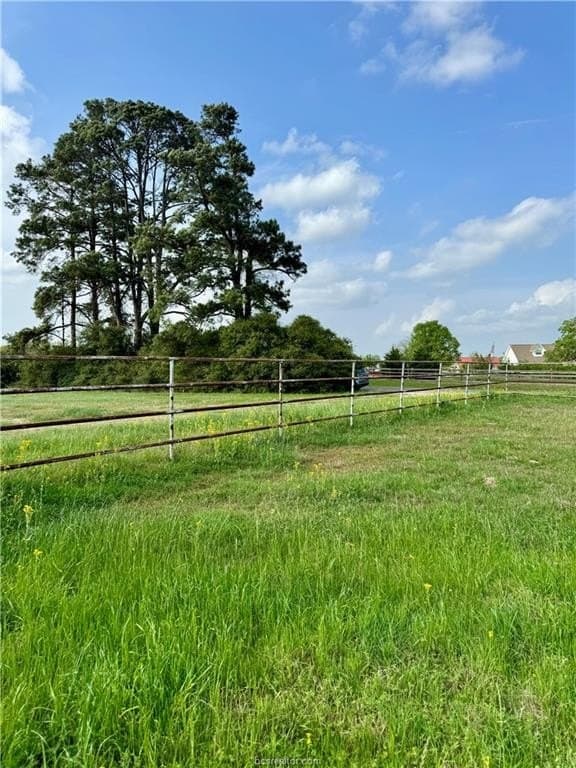 18.76 acres in Brazos County - photo 30