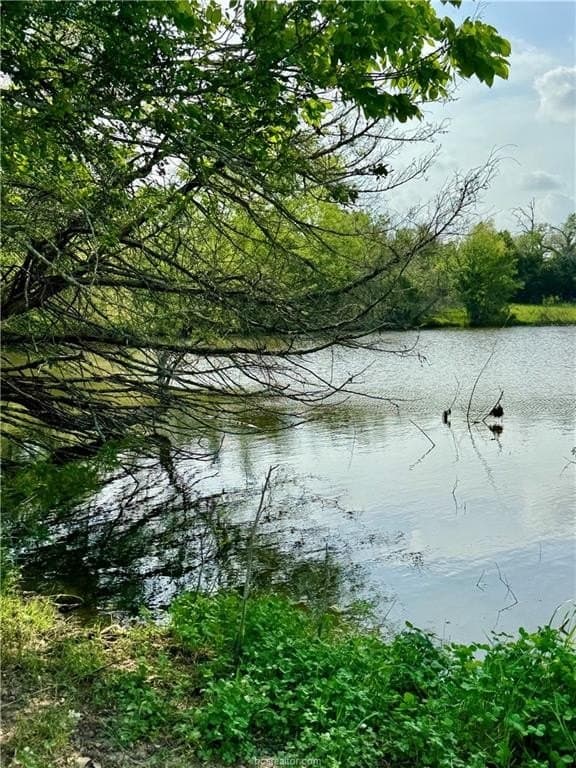 18.76 acres in Brazos County - photo 22