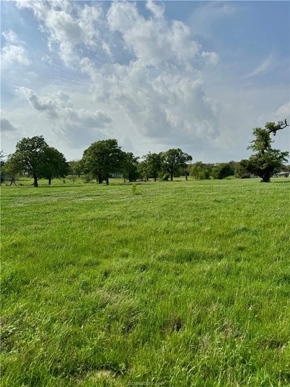 18.76 acres in Brazos County - photo 17