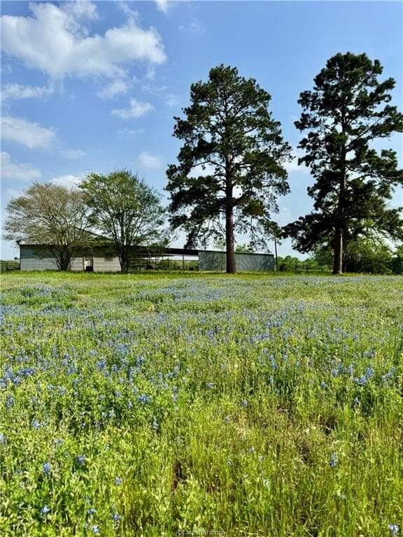 18.76 acres in Brazos County - photo 10