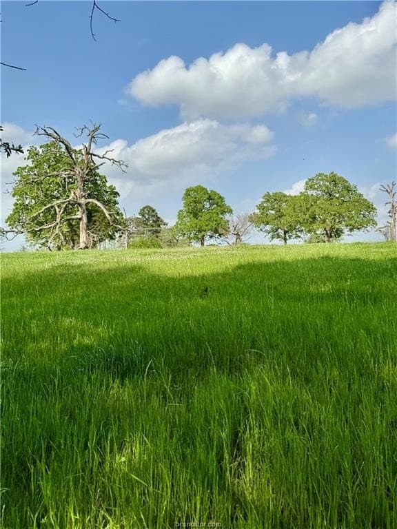 18.76 acres in Brazos County - photo 26
