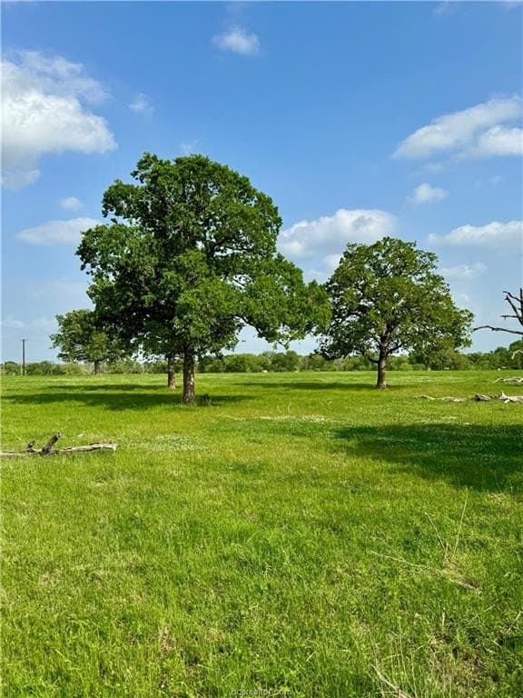 18.76 acres in Brazos County - photo 38