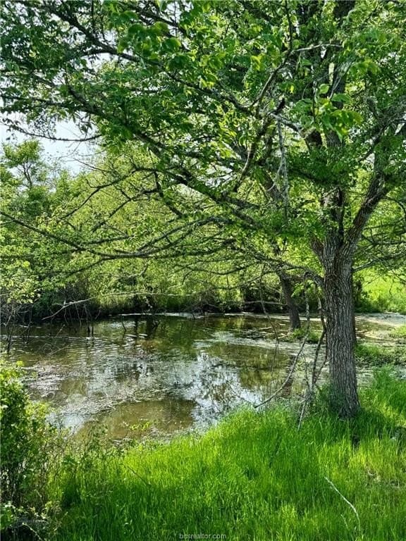 18.76 acres in Brazos County - photo 28