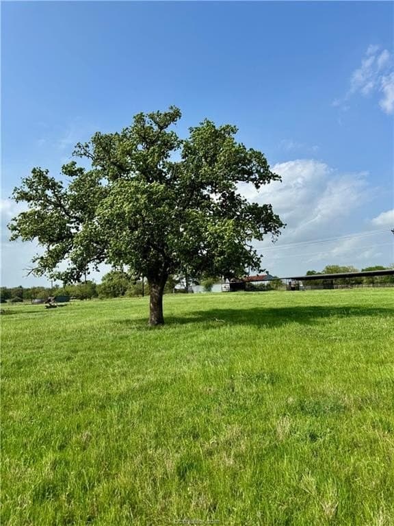 18.76 acres in Brazos County - photo 16