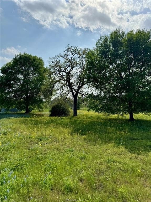 18.76 acres in Brazos County - photo 9