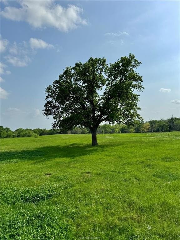 18.76 acres in Brazos County - photo 14