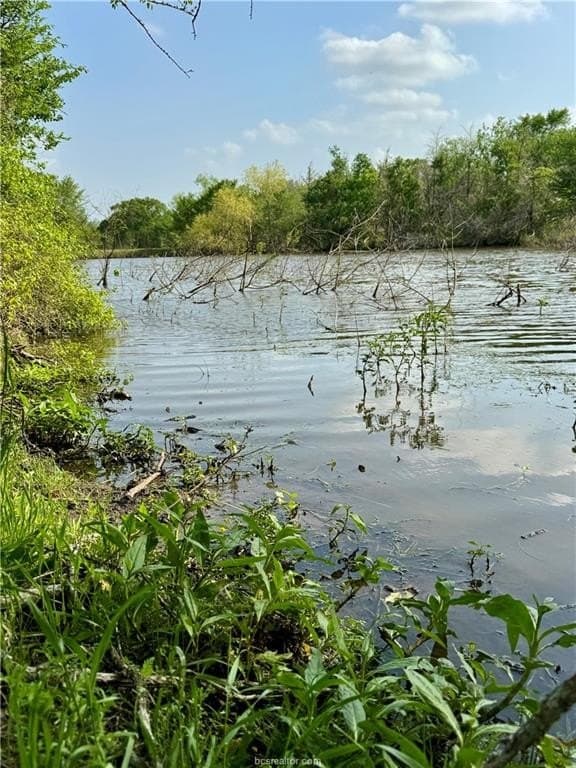 18.76 acres in Brazos County - photo 29