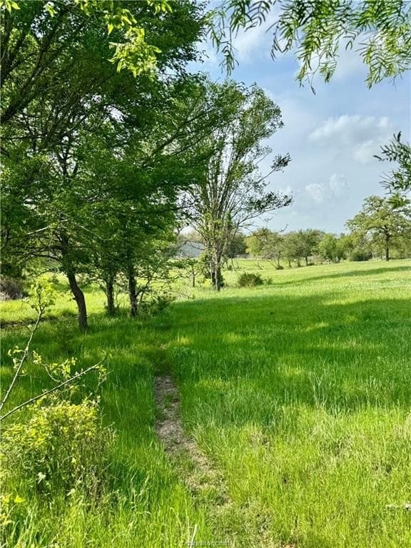 18.76 acres in Brazos County - photo 41
